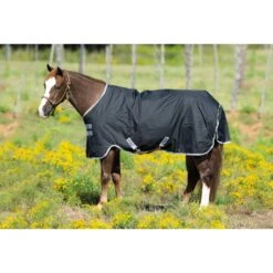 Amigo Stock Horse Turnout 200g - Black/Silver/Black