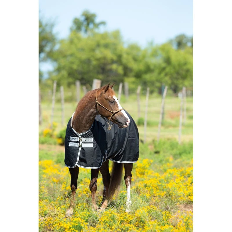 Amigo Stock Horse Turnout 200g - Black/Silver/Black 2 Amigo Stock Horse Turnout 200g - Black/Silver/Black - Image 2