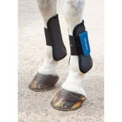 Shires ARMA Tendon Boots - Black/Royal Blue