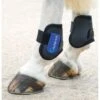 Shires ARMA Fetlock Boots - Black/Royal Blue