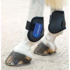 Shires ARMA Fetlock Boots - Black/Royal Blue