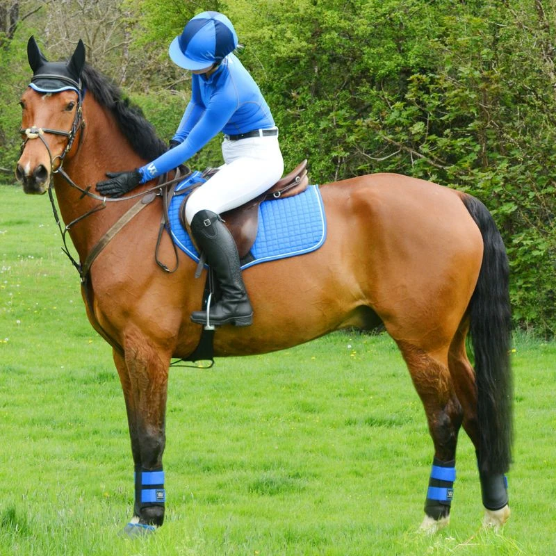 Woof Wear Sport Brushing Boot - Black/Electric Blue 1 Woof Wear Sport Brushing Boot - Black/Electric Blue