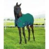 Weatherbeeta 1200D Foal Standard Neck Medium II Turnout - Hunter/Navy