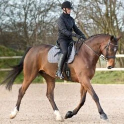 Horze Anti Twist Lock-On Bell Boots - Black -Kensington Shop 375306 800 800