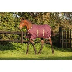 Amigo Foal Ripstock Turnout 200g - Fig/Navy/Tan