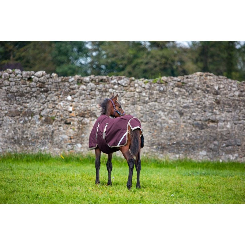 Amigo Foal Ripstock Turnout 200g - Fig/Navy/Tan 2 Amigo Foal Ripstock Turnout 200g - Fig/Navy/Tan - Image 2