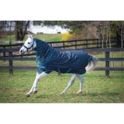Amigo Pony Plus Turnout 50g - Black Check/Teal/Silver