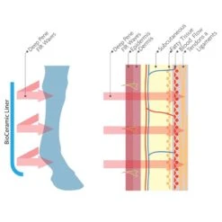 Woof Wear Stable Boots W/Bio-Ceramic Liners - Black -Kensington Shop 409939 800 800