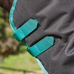 Weatherbeeta Green-Tec 900D Detach-A-Neck Heavy Turnout Blanket - Black/Bottle Green -Kensington Shop 412781 800 800