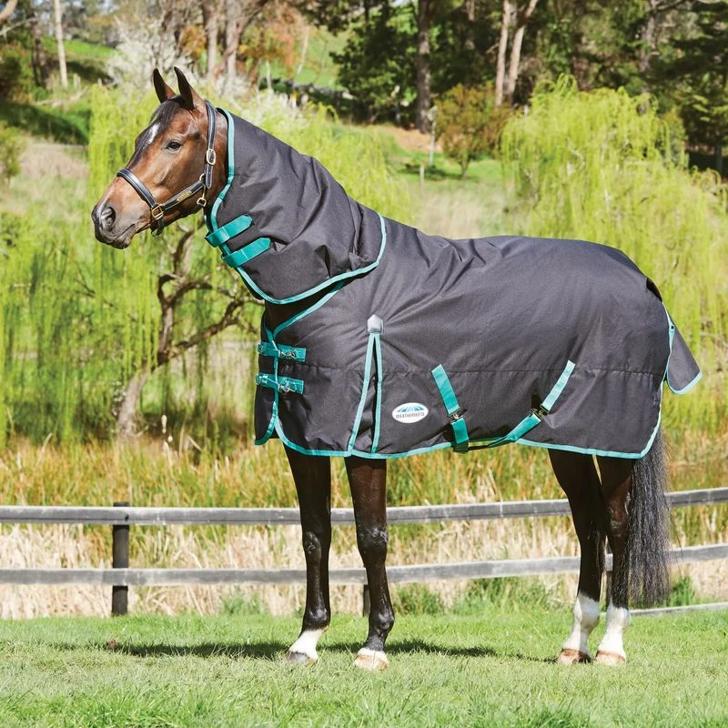 Weatherbeeta Green-Tec 900D Detach-A-Neck Medium Turnout Blanket - Black/Bottle Green 1 Weatherbeeta Green-Tec 900D Detach-A-Neck Medium Turnout Blanket - Black/Bottle Green