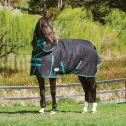 Weatherbeeta Green-Tec 900D Detach-A-Neck Medium Turnout Blanket - Black/Bottle Green 10 Weatherbeeta Green-Tec 900D Detach-A-Neck Medium Turnout Blanket - Black/Bottle Green -Kensington Shop 413688 800 800
