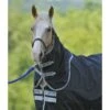 Amigo Stock Horse Hood 0g - Black/Silver