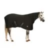 Centaur Turbo-Dry Cooler W/Neck - Black