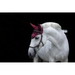 Rambo Ear Net - Burgundy/Navy