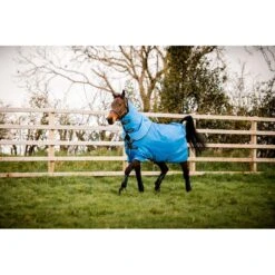 Amigo Hero 900 Plus Double Fastener Turnout 200g - Daphne Blue/Black/White/Blue