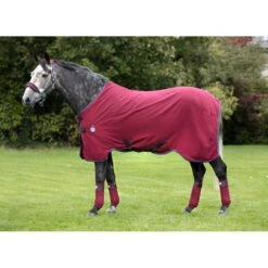 Kensington Shop 28 Rambo Helix Disc Front Stable Sheet - Burgundy/Burgund/Teal/Navy