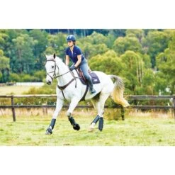 Weatherbeeta Flexi Shell Front Cross Country Boots - Black