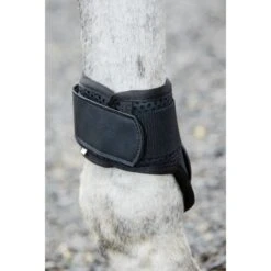Weatherbeeta Lite Fetlock Boots - Black -Kensington Shop 442524 800 800