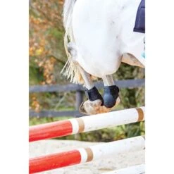 Weatherbeeta Lite Fetlock Boots - Black -Kensington Shop 442526 800 800