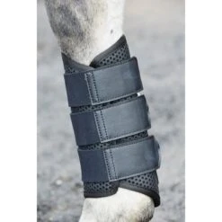 Weatherbeeta Exercise Boots - Black -Kensington Shop 442779 800 800