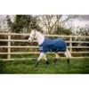 Amigo Hero 900 Pony Turnout 200g - Dark Blue/Capri/Raspberry