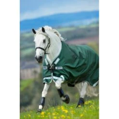 Rambo Original Turnout W/Leg Arches 0g - Green/Silver