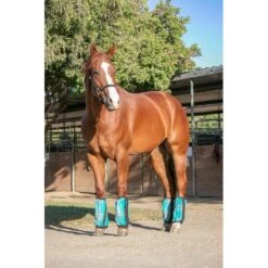 Kensington Bubble Fly Boots (Set Of 4) - Atlantis