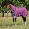 Weatherbeeta Comfitec Premier Freedom Pony Detach-A-Neck Medium - Purple/Navy/Mint