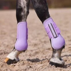 Horze Adepto Tendon Boots - Languid Lavender Purple -Kensington Shop 454384 800 800
