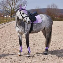 Horze Adepto Fetlock Boots - Languid Lavender Purple -Kensington Shop 454416 800 800
