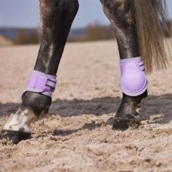 Horze Adepto Fetlock Boots - Languid Lavender Purple -Kensington Shop 454417 800 800