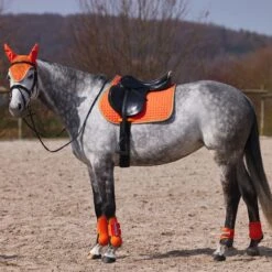 Horze Adepto Fetlock Boots - Coral Gold -Kensington Shop 454468 800 800