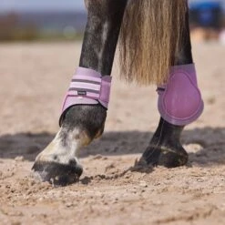Horze Adepto Fetlock Boots - Dawn Pink -Kensington Shop 454534 800 800