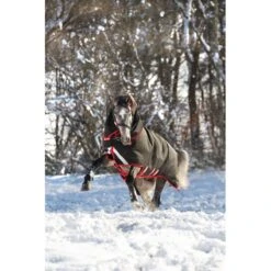 Rambo Supreme Turnout VeriLayer 450g - Black/Red -Kensington Shop 473641 800 800