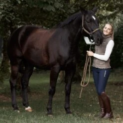 B Vertigo Women's Dianne Thermo Full Seat Breeches - Dark Navy -Kensington Shop 476851 800 800