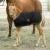 Kensington Signature Adjustable Foal Turnout - Black