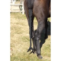 Centaur Spandex Braid-n-Tail Bag - Black