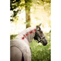 Rambo Protector W/Disc Front - Oatmeal/Cherry/Peach/Blue -Kensington Shop 488392 800 800