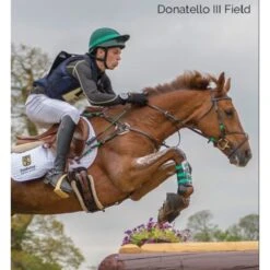 Tredstep Donatello III Field Boot - Black -Kensington Shop 524639 800 800