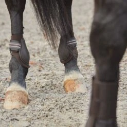 Horze Adepto Fetlock Boots - Dark Brown -Kensington Shop 532784 800 800