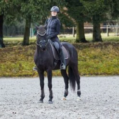 Horze Adepto Fetlock Boots - Dark Brown -Kensington Shop 532785 800 800