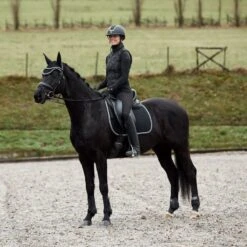 Horze Adepto Fetlock Boots - Black -Kensington Shop 533529 800 800