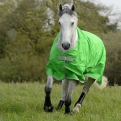 Bucas Freedom Light Turnout - Apple