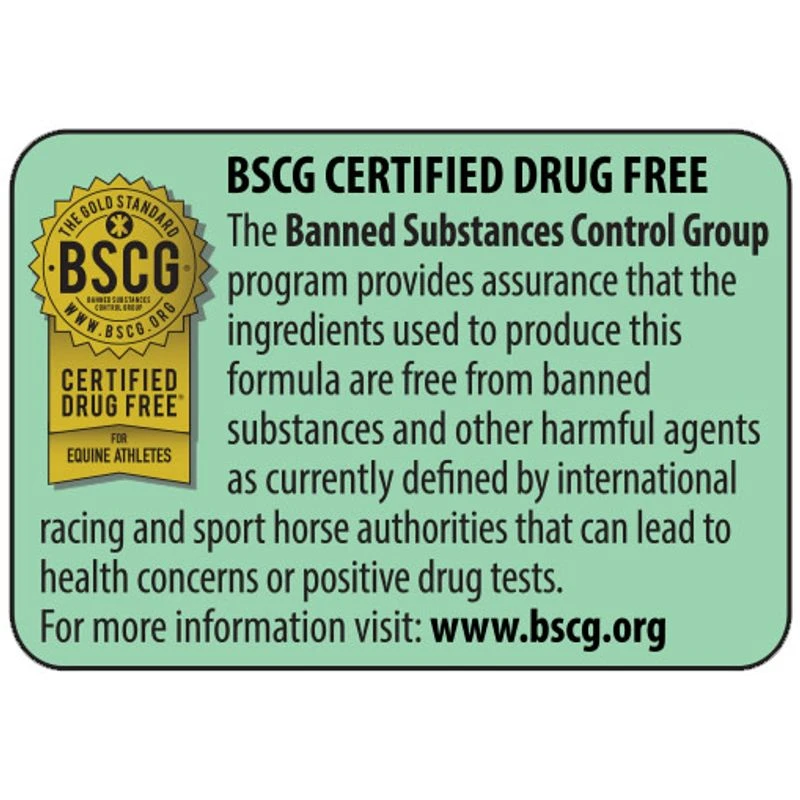 Back On Track Limber Up Liniment Foam 2 Back On Track Limber Up Liniment Foam - Image 2