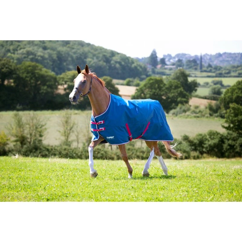 Shires Tempest Original Lite Turnout - Teal 1 Shires Tempest Original Lite Turnout - Teal