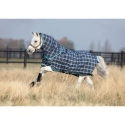 Rhino Pony Plus Turnout Medium - Navy Check/Teal