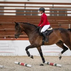 Cavalliera Women's Primetime Show Jacket - Ruby Red -Kensington Shop 559135 800 800