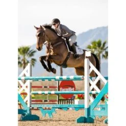 Kerrits Women's Affinity Aero Show Coat - Shadow 9 Kerrits Women's Affinity Aero Show Coat - Shadow -Kensington Shop 570242 800 800