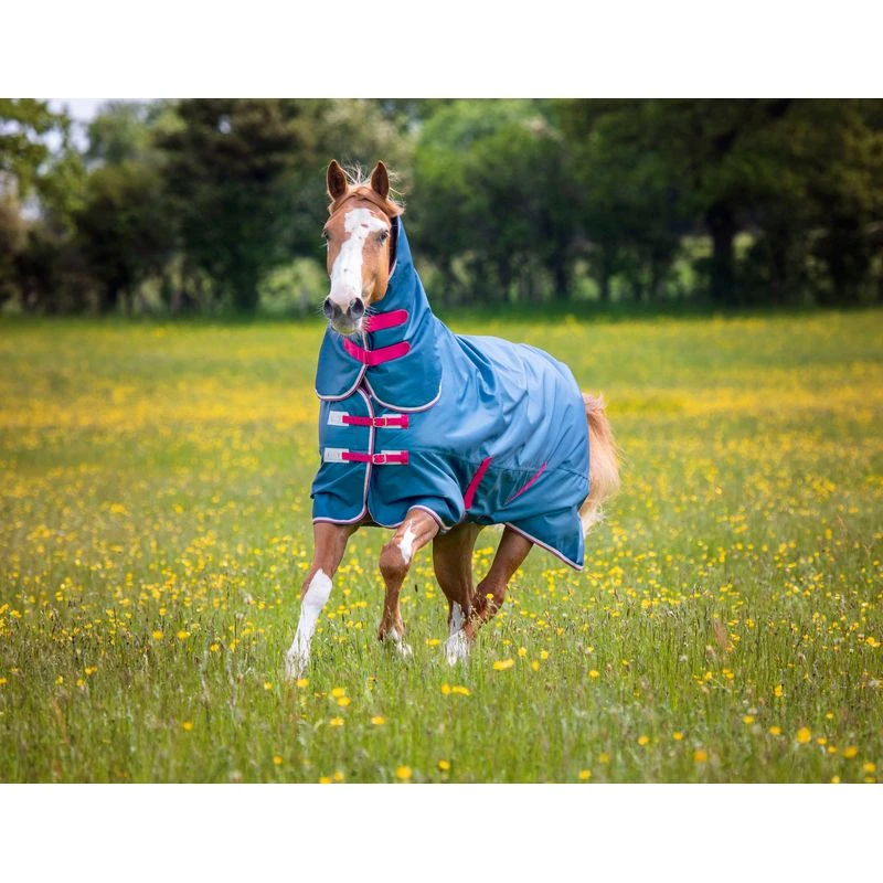 Shires Tempest Original Lite Combo - Teal 2 Shires Tempest Original Lite Combo - Teal - Image 2