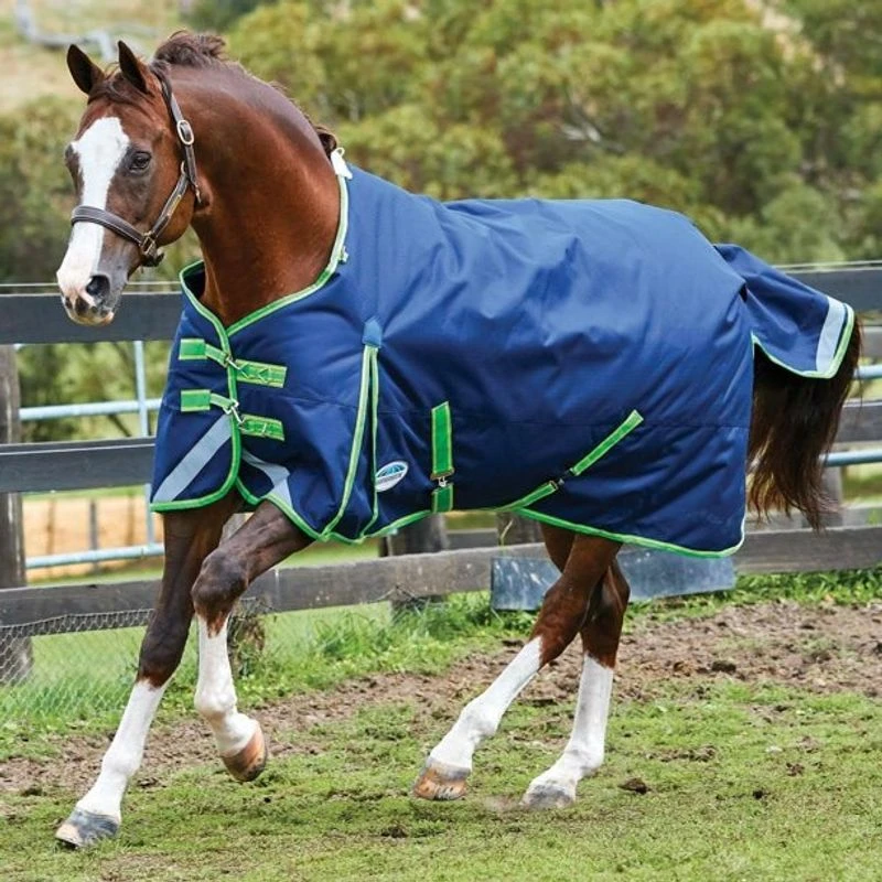 Weatherbeeta Comfitec Plus Dynamic Standard Neck Medium Blanket - Navy/Lime 1 Weatherbeeta Comfitec Plus Dynamic Standard Neck Medium Blanket - Navy/Lime